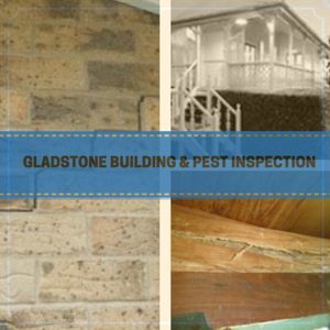 reputable building and pest inspection experts in Gladstone