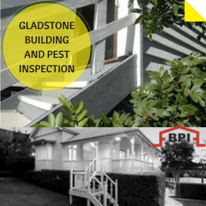 leading building and pest inspection experts in Gladstone
